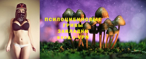 героин Богданович