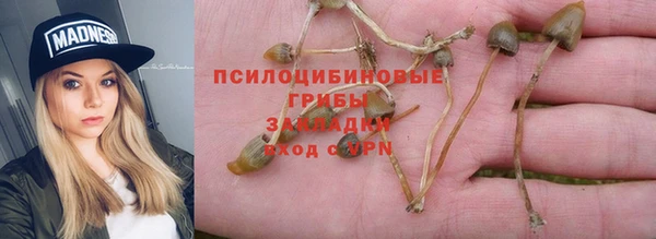 СК Богородицк