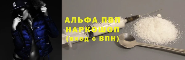 прущие грибы Ельня
