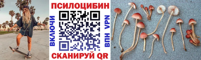 Псилоцибиновые грибы Magic Shrooms МЕГА tor Боровск