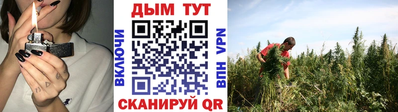 Бошки марихуана Ganja  где купить   Боровск 